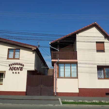 Pensiunea Nane Sibiu Exterior foto