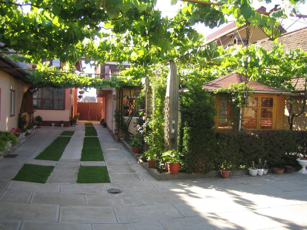 Pensiunea Nane Sibiu Exterior foto